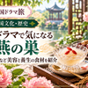 中国ドラマに登場する燕の巣や高麗人参など、美容と養生の食材を紹介するアイキャッチ画像。燕の巣のデザート、ヨーグルト、クコの実、ナツメ、牡丹を配置した緑色基調のデザイン。